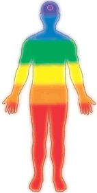 からだと色の関係